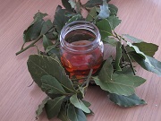 Лечение псориаза лавровым листом 