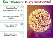 ВПЧ как появляется 