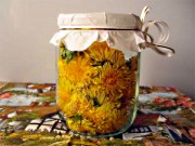 лечение народными средствами вируса папилломы