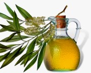 масло чайного дерева от кондилом