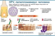 впч у женщин 16 типа
