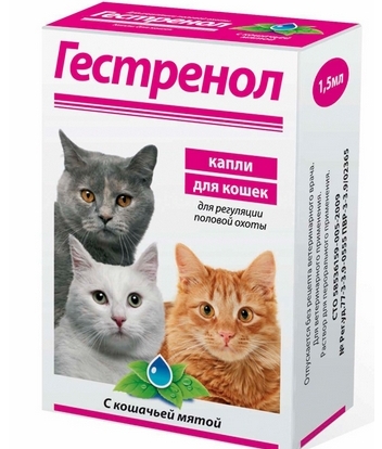 контрацептивы для кошек